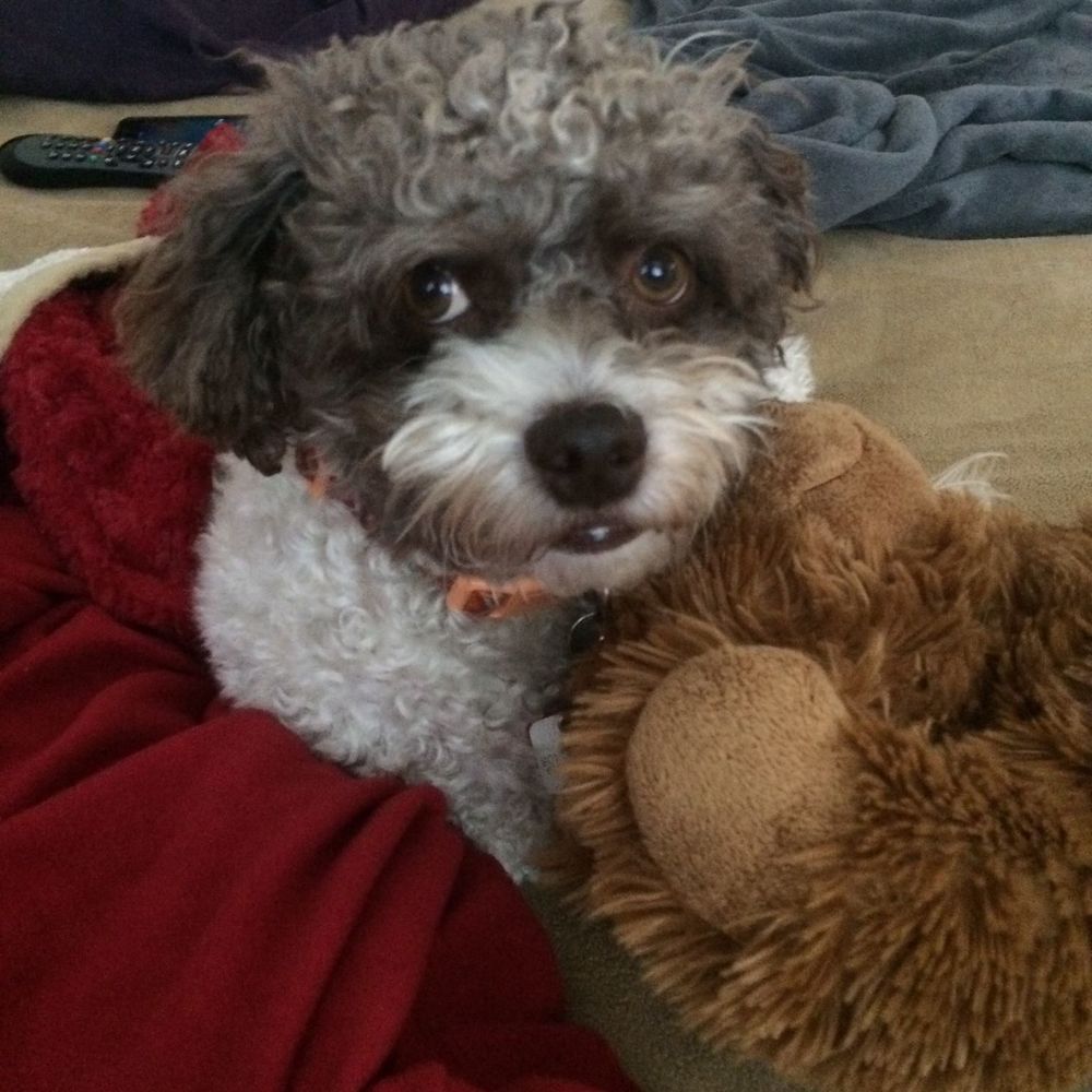 Meet your Posher, Judy